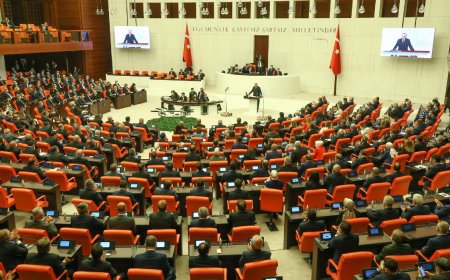 Lübnan ve Orta Afrika tezkeresi Meclis'ten geçti: Yeşil Sol Parti ve EMEP milletvekilleri hayır oyu verdi