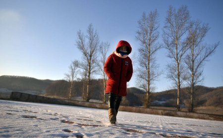 455 BİN YABANCI ÇOCUK OKULA GİDEMİYOR