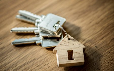 Kira krizine karşı ‘ev arkadaşlığı’