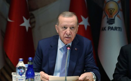 Erdoğan: Mehmet Şimşek'e karışmıyorum