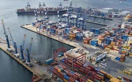 Almanya ithal ettiği giysilerin yüzde 67,5'ini tekrar ihraç ediyor: En büyük 3. tedarikçi Türkiye