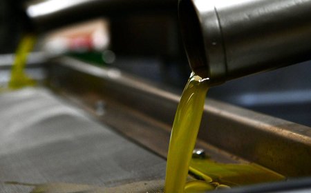 Yasak kararı esnetildi... Ticaret'ten 50 bin ton kota çıktı!