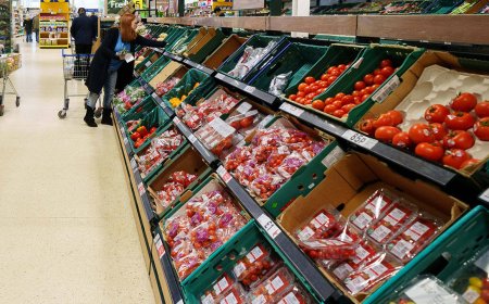 OECD, Türkiye enflasyon beklentisini yükseltti