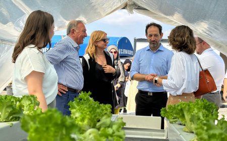 BU PROJENIN DÜNYADA EŞI YOK!