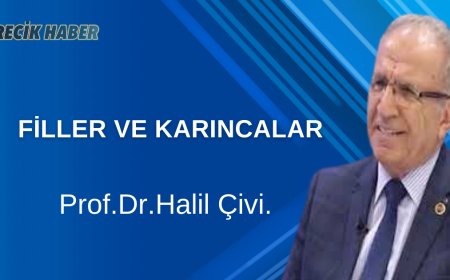 FİLLER VE KARINCALAR