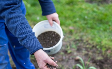 Gübre Üretiminde Yeni Yatırım
