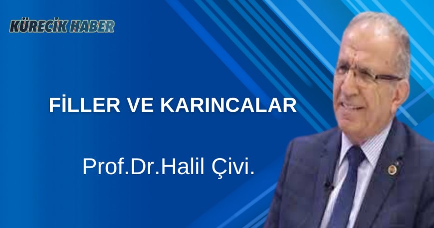 FİLLER VE KARINCALAR