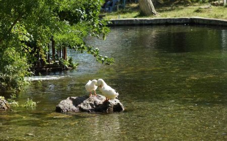 Malatya'nın doğal akvaryumu: Takaz