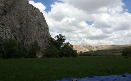 Maden Çalışmalarıyla Pütürge'de Ekosistem Sarsılıyor