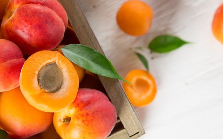 Malatya Denildiğinde Aklınıza Ne Geliyor: Kayısı Mı Çalışkanlık Mı?