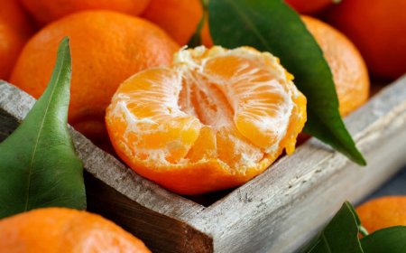 Market Raflarında Yükselen Fiyatlar: Portakal Zamda Rekor Kırdı!