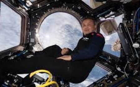 Alper Gezeravcı Türkiye'ye döndü