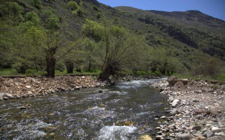 Çıkın gelin sizde deneyimleyin