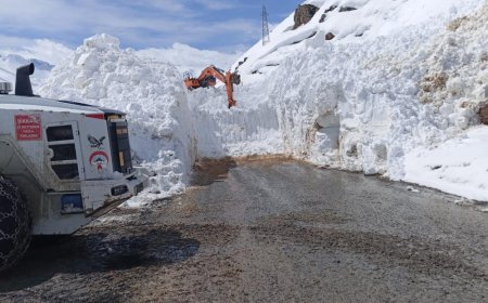 Yüksekova-Dağlıca Karayoluna Çığ Düştü
