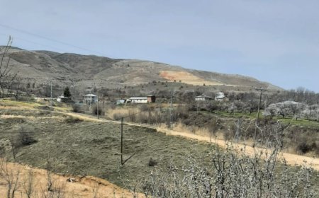 Elazığ'da Bir Köy Yine Hırsızlık Olaylarıyla Gündemde