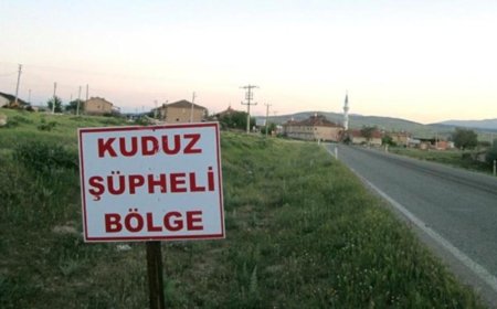 HATAY’IN DEFNE İLÇESİNDE KUDUZ VAKASI TESPİT EDİLDİ