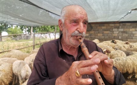 60 YILDIR SÜRÜSÜNÜN PEŞİNDE DOLANIYOR