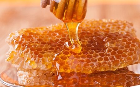 Malatya Balı: Türkiye'nin En İyi Balı mı?