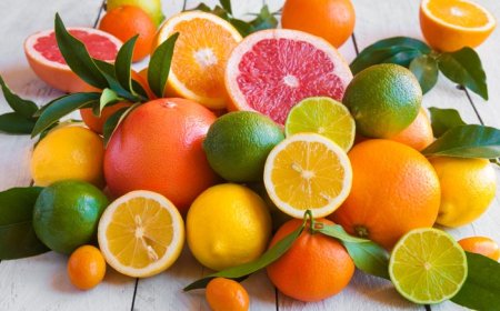 Türkiye Narenciyede Rekorlar Kırıyor: İlk 4 Ayda 475 Milyon Dolar İhracat!