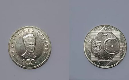 Madeni 5 TL piyasaya sürülüyor