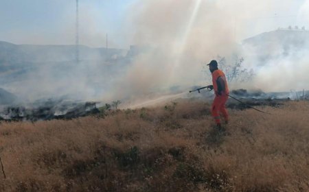 Bingöl'de Çıkan Yangın Kontrol Altına Alındı