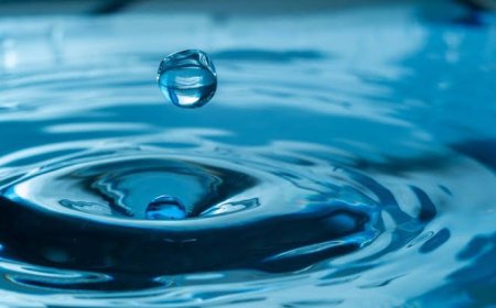 YAZ AYLARINDA SIVI TÜKETİMİNİN ÖNEMİ