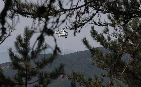 Bolu'da ormanlara girişler yasaklandı