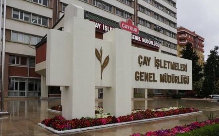 ÇAYKUR İkinci Sürgün Çay Alımları