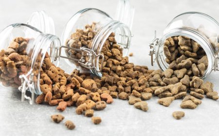 91 ÜLKENİN KEDİ KÖPEK MAMASI TÜRKİYE'DEN