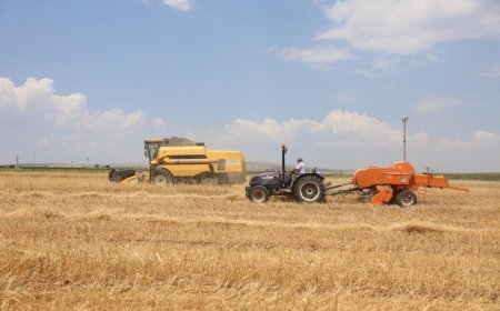 ESKİŞEHİR BÜYÜKŞEHİR BELEDİYESİ YULAF HASADI YAPTI