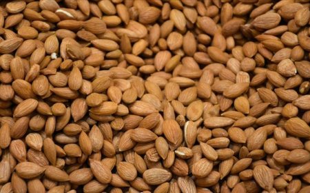 Malatya çekirdekten kazandı!