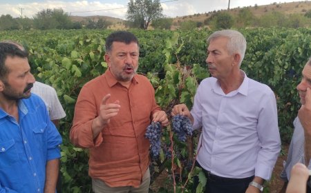 CHP’li Ağbaba: “Tarım ve Orman Bakanı maalesef tarımdan bihaber yaşıyor”