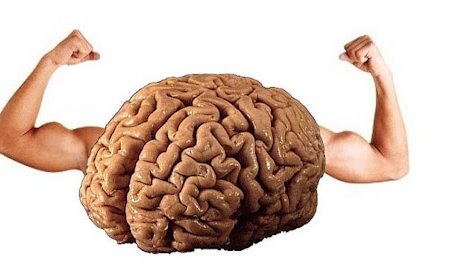 Erkek Beyni Gündüz Küçülüyor!