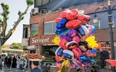 İnönü Caddesi: Depremin İzi ve Yeniden Doğuş Mücadelesi