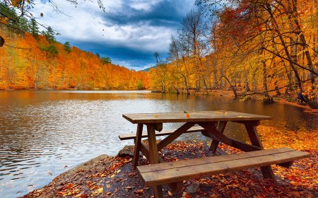 Malatya’da Sonbahar Sürprizi!
