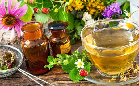 Bağışıklığınızı Güçlendirecek 10 Şifalı Bitkisel Çay: Kışa Hazırlanın!