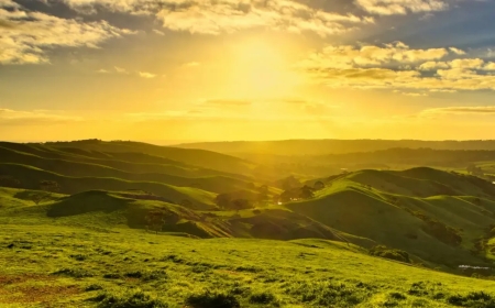 Günler Ne Zaman Uzamaya Başlayacak? 2024 Kış Gündönümü Tarihi