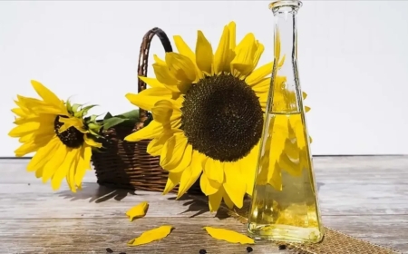 Ayçiçek Yağı Kanser Yapar mı? Bilim İnsanlarından Çarpıcı Açıklamalar!