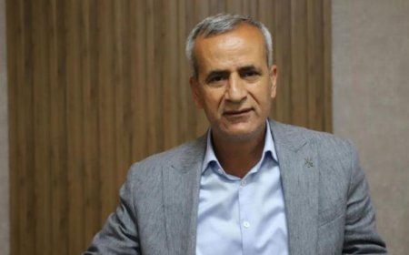 DEM Partili Belediye Başkanı Zeyni İpek partisinden istifa etti