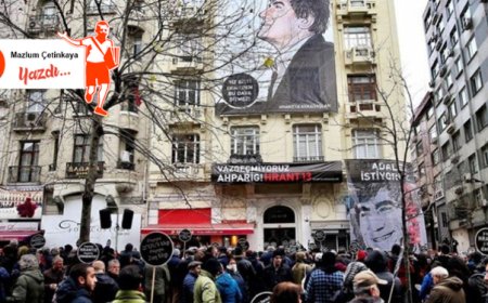 Avucumdaki Kayısı Çekirdeği