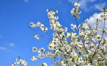 Malatya’ya ilk cemre ne zaman düşecek?