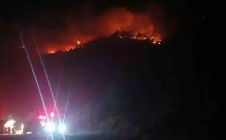 Malatya’daki Orman Yangını 9 Saattir Sürüyor  Alevler Kontrol Altına Alınamıyor