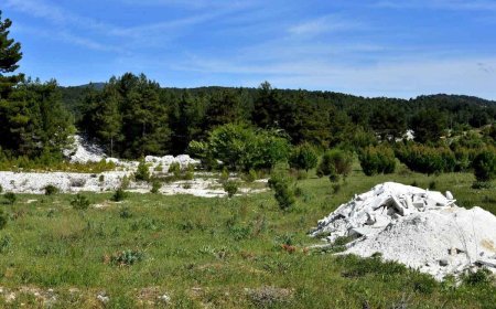 Ormanlık Alanlarda Madenciliğe İzin Veren Yönetmeliğe Karşı Dava: “Doğa Sermayeye Teslim Edilemez”