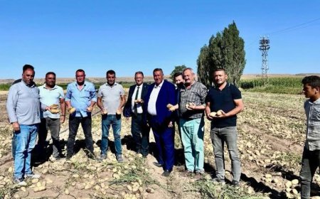 Patates Üreticisi Alarmda “Maliyet Altında Satıyoruz, Zincir Marketler Piyasayı Kontrol Ediyor”