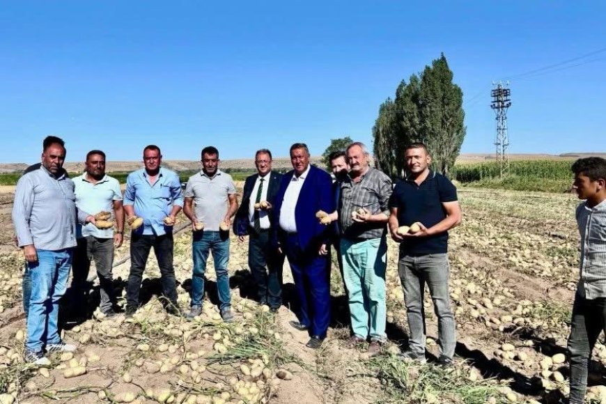 Patates Üreticisi Alarmda “Maliyet Altında Satıyoruz, Zincir Marketler Piyasayı Kontrol Ediyor”