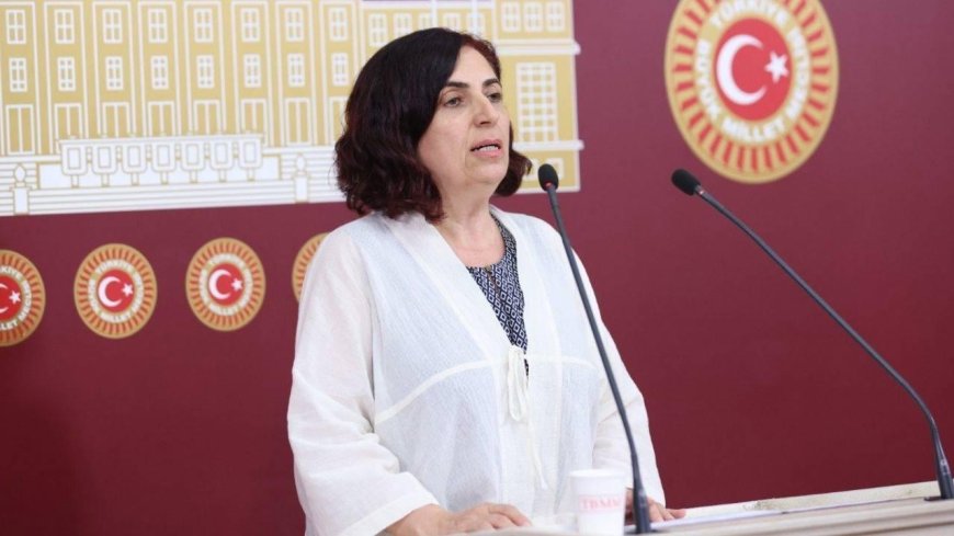 DEM Parti, Çocuk Yoksulluğu ve İş Cinayetlerini Meclis Gündemine Taşıdı