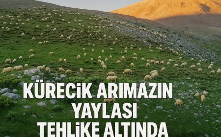 Kürecik Arimazın Yaylası Tehlike Altında Doğa Güzelliğini Çöplerle Kaybetmeyelim
