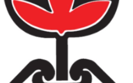 İHD: İşkence ve Kötü Muamele Hiçbir Koşulda Normalleştirilemez