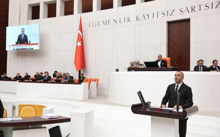 Hatay Samandağ’da Zeytin ve Narenciye Bahçelerinde Ağaç Katliamı: Meclise Taşındı