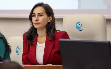 CHP’de istifa dalgası Özlem Vural Gürzel de ayrıldı